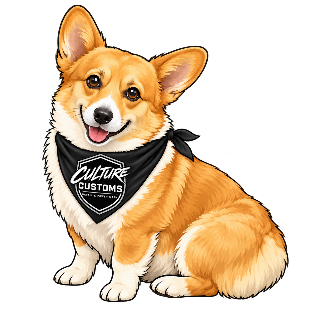 Nala, the Culture Customs shop corgi