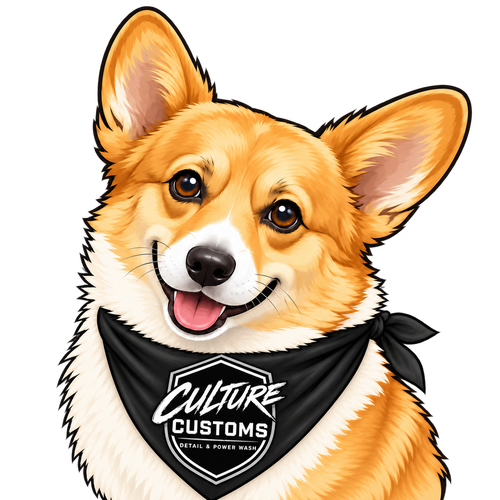 Nala, the Culture Customs shop corgi